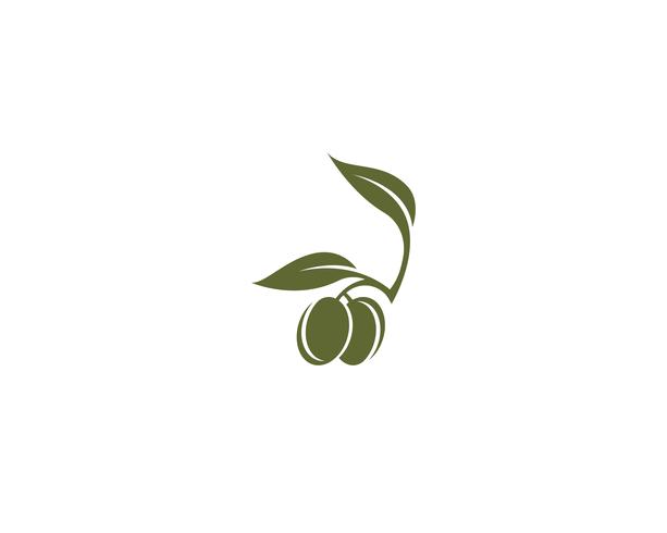 icône de vecteur pour le modèle logo olive