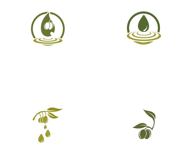 icône de vecteur pour le modèle logo olive