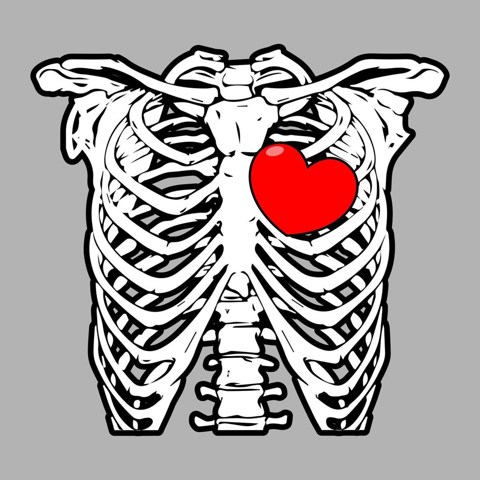 côtes du thorax, sternum, clavicule, omoplate, colonne vertébrale avec amour. illustration médicale détaillée. isolé sur un fond argenté. vecteur