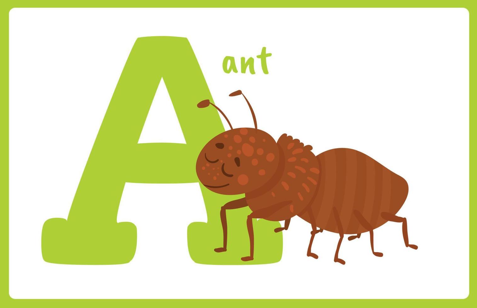 carte flash alphabet insecte a vecteur