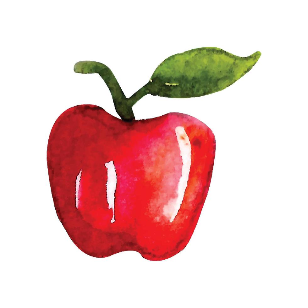 pomme rouge isolé sur fond blanc. illustration aquarelle vecteur