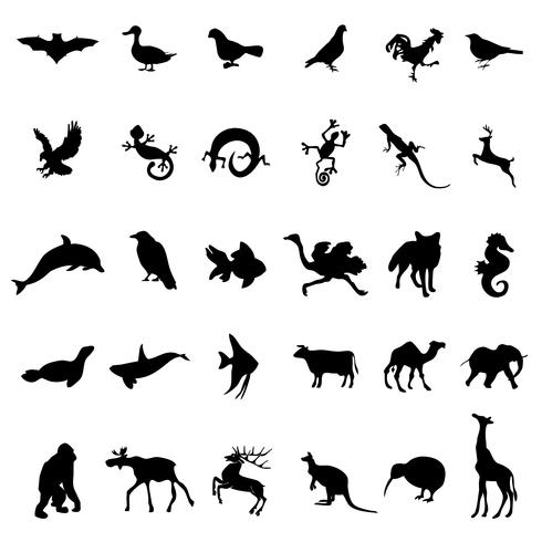 Vecteur de silhouettes de la faune