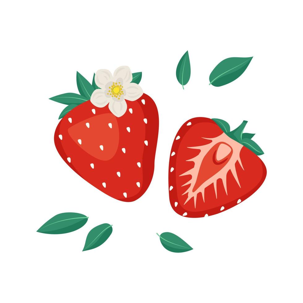 icône de baie rouge fraise avec feuilles et fleurs. nourriture savoureuse sucrée et collation. produit naturel adapté aux végétariens. une source de vitamines et d'allergies. illustration vectorielle plate vecteur