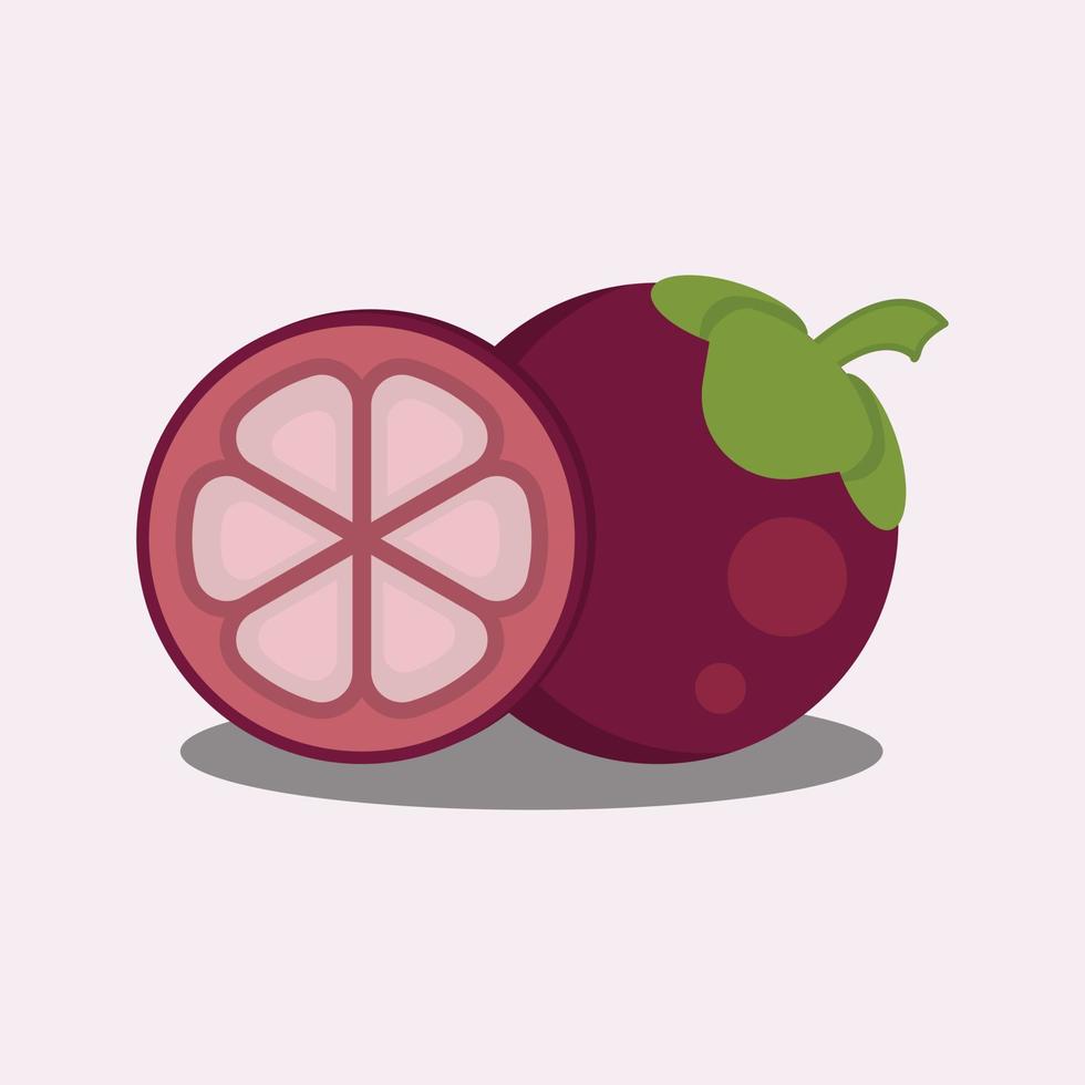 graphique vectoriel d'illustration de mangoustan aux fruits, adapté à la conception sur le thème des fruits