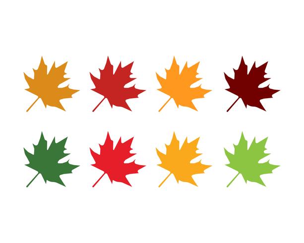 Érable feuilles logo et symbole vecteur