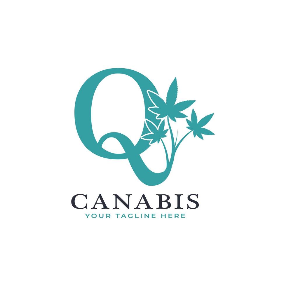 lettre q alphabet logo canabis vert avec feuille de marijuana médicale. utilisable pour les logos commerciaux, scientifiques, de santé, médicaux et naturels. vecteur