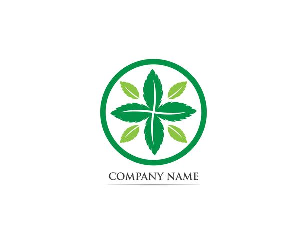 Menthe feuille logo et symbole vecteur