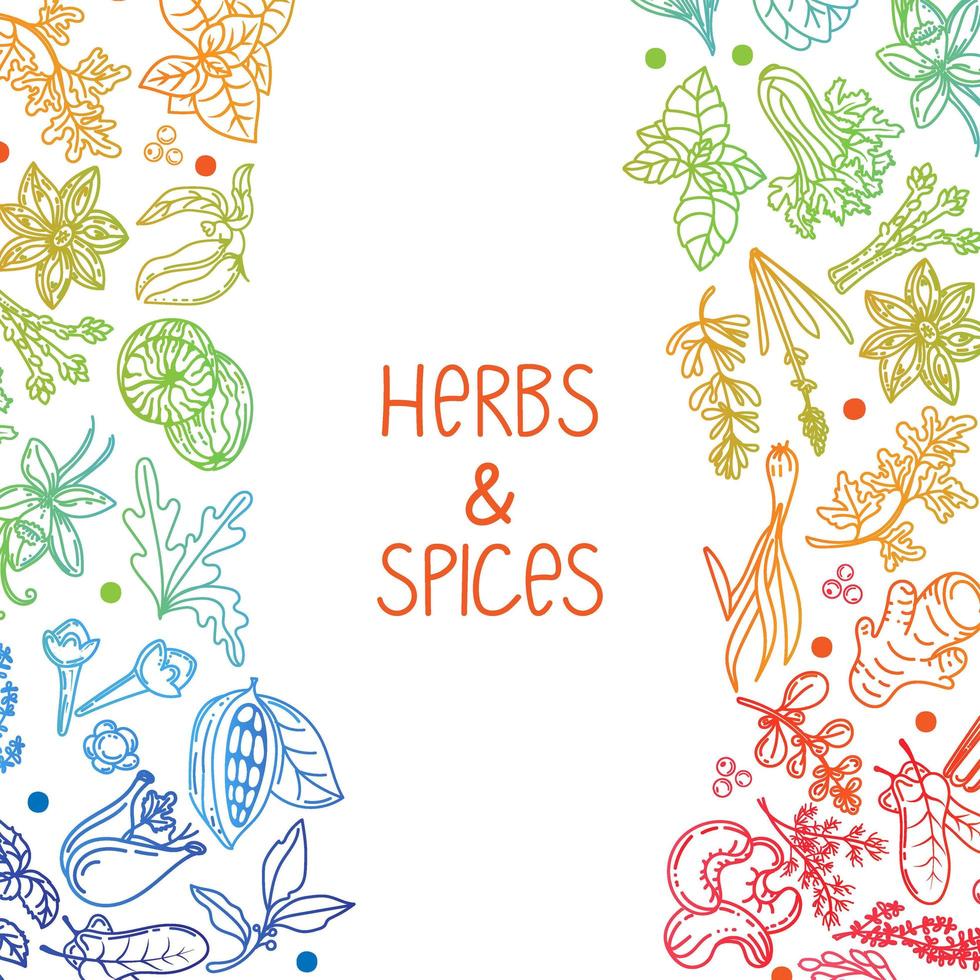 modèle d'emballage d'herbes et d'épices, élément dessiné dans le style doodle. silhouettes aux couleurs de l'arc-en-ciel. herbes et épices - piment, vanille, épine-vinette, romarin, feuille de laurier, etc. disposition dans un linéaire à la mode. vecteur