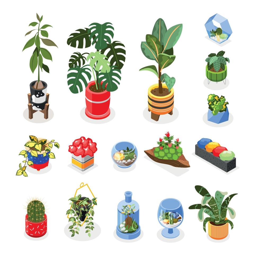 ensemble d'icônes isométriques de plantes vecteur