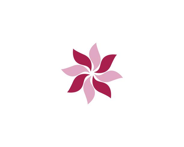 Plumeria beauté icône fleurs design illustration vecteur
