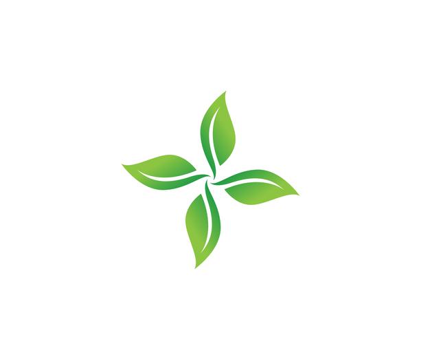 Vecteur de logo feuille verte