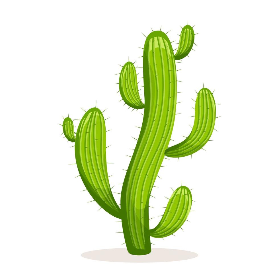 ensemble de cactus avec épines et fleurs. cactus de plante verte mexicaine avec des épines. élément du paysage désertique et méridional. illustration de vecteur plat de dessin animé. isolé sur fond blanc.
