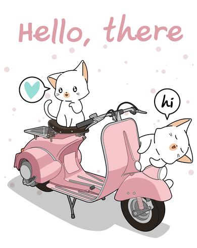 Kawaii 2 chat blanc avec moto vecteur