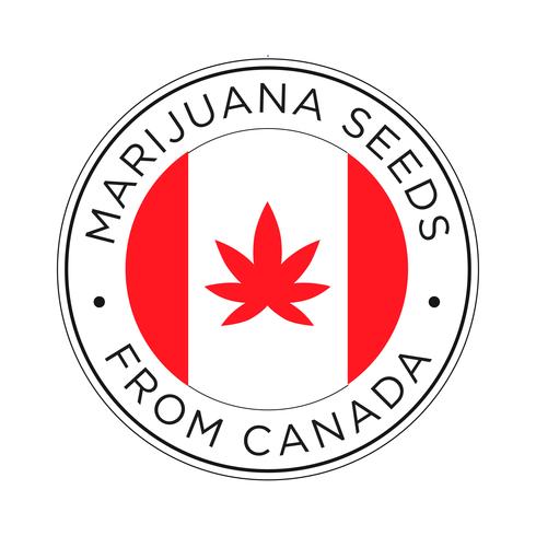 Graines de marijuana de l&#39;icône Canada. vecteur