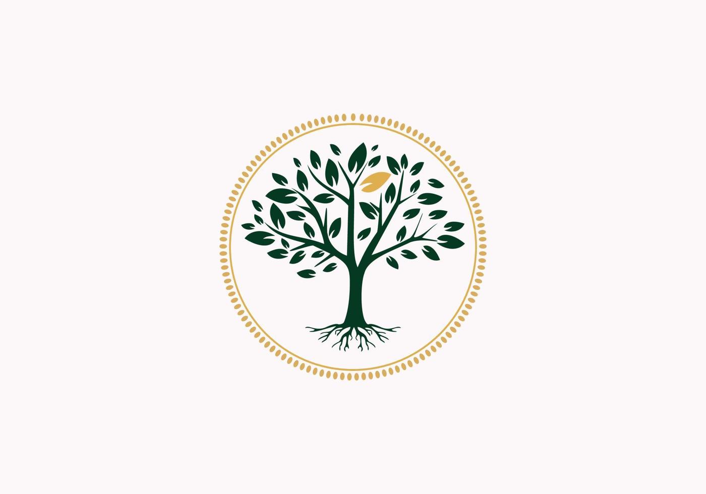 arbre de vie doré sceau sceau emblème chêne banyan érable logo design vecteur
