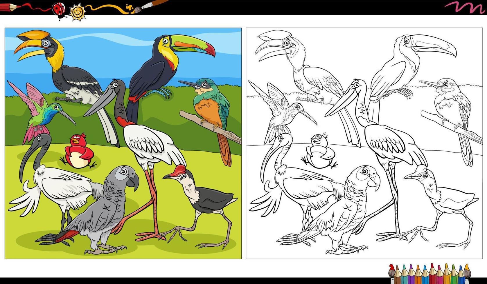 Page de livre de coloriage de groupe de personnages animaux oiseaux vecteur