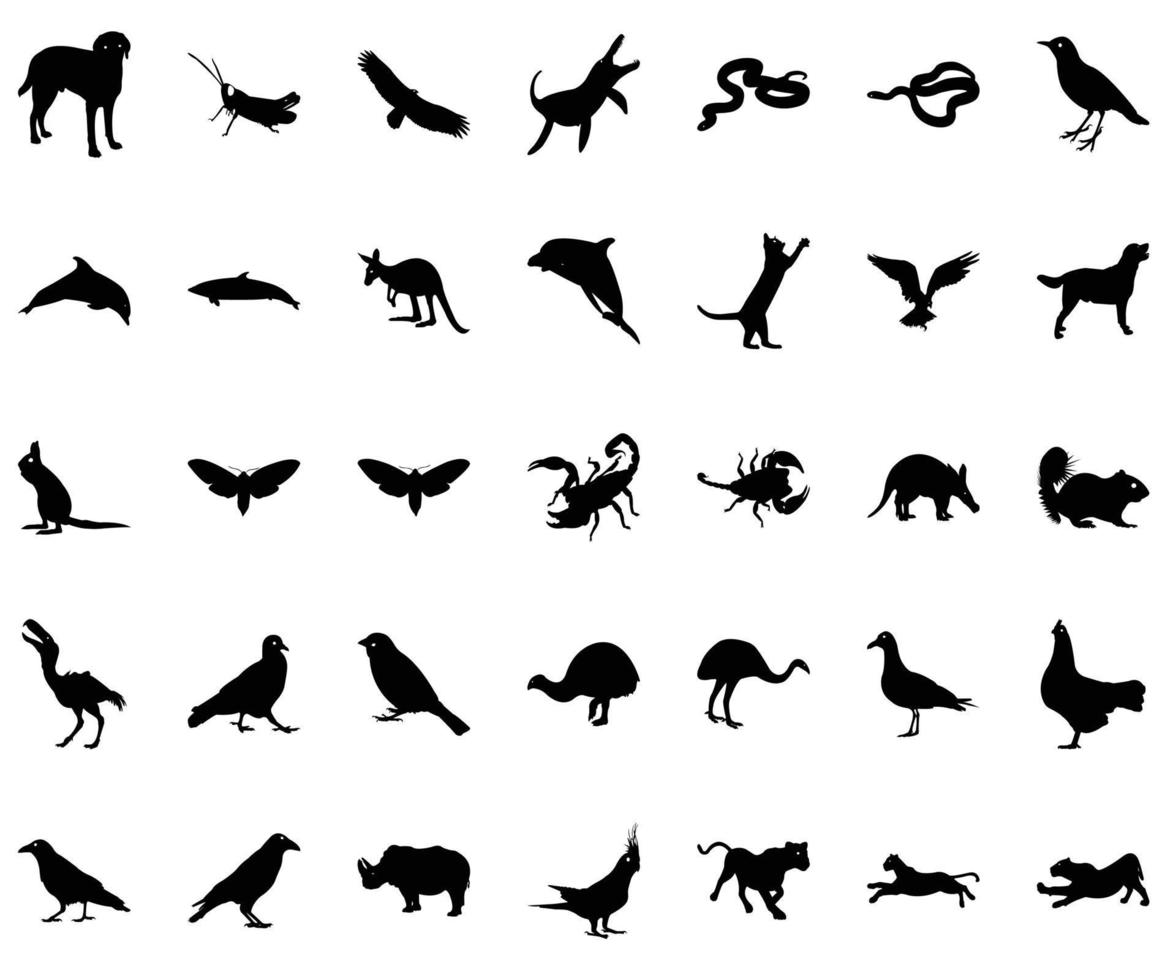 silhouette d'animaux et d'oiseaux vecteur