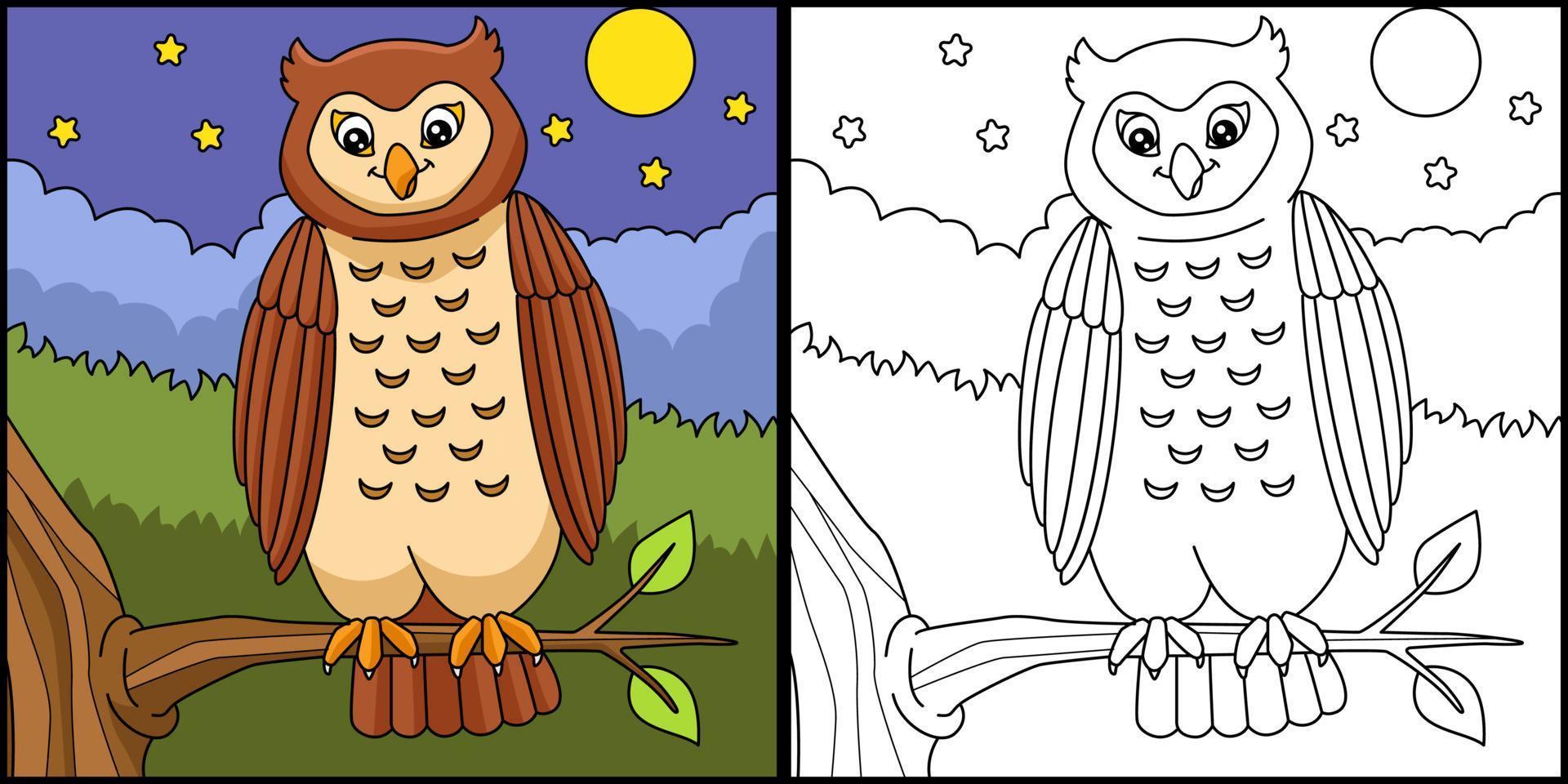 chouette coloriage illustration colorée vecteur