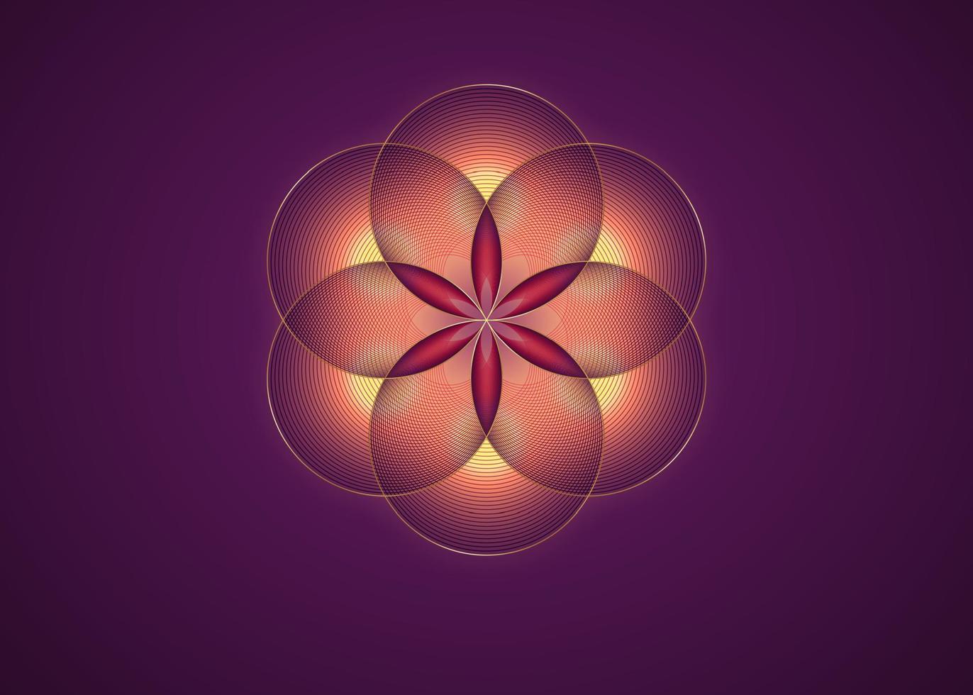 graine de vie symbole géométrie sacrée. icône logo or mandala mystique géométrique de l'alchimie fleur rouge ésotérique de la vie. cercles entrelacés, amulette méditative divine vectorielle isolée sur fond violet vecteur