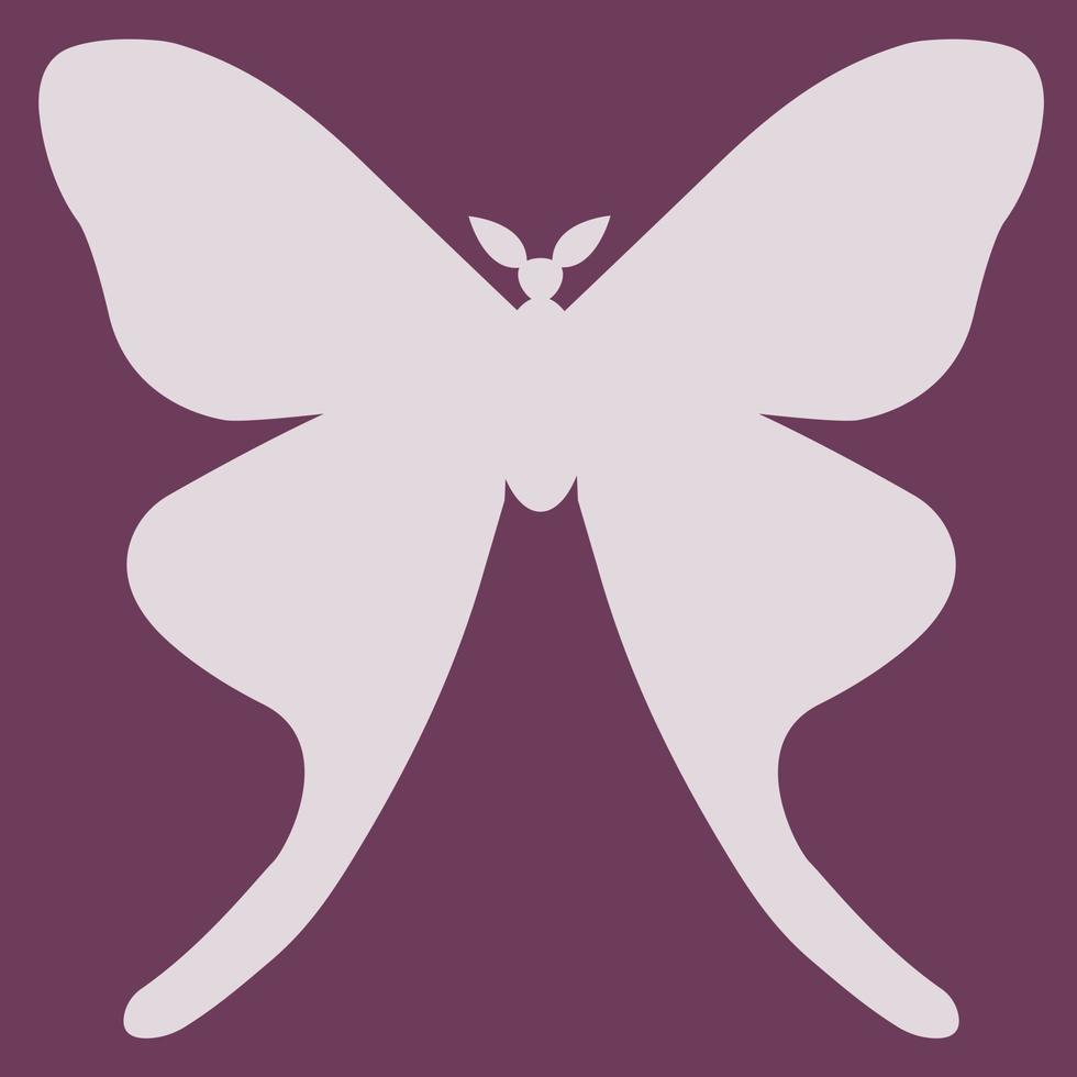 contour de silhouette d'insecte papillon. vecteur