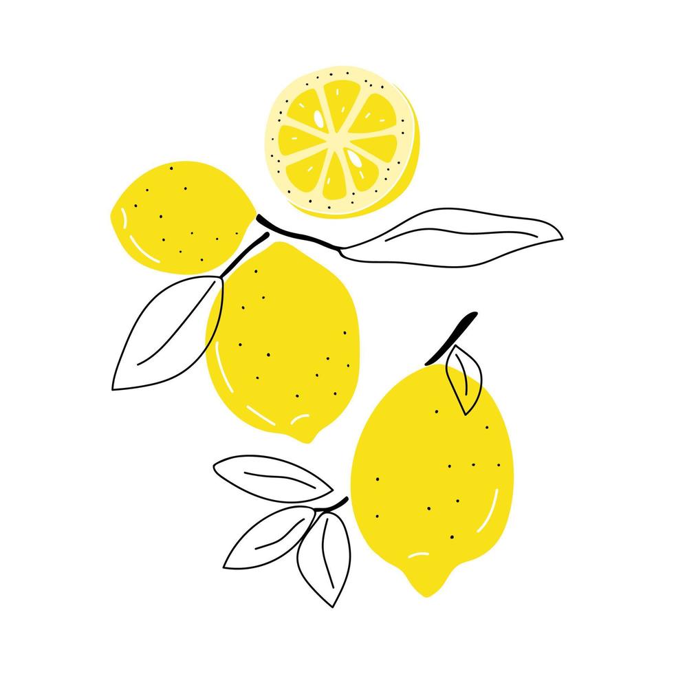 ensemble de citrons dessinés à la main vecteur