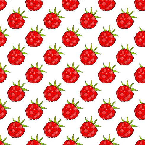 Arrière-plan transparent avec framboises, image vectorielle prêt pour votre conception vecteur