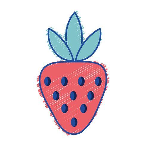 râpé délicieux fruits aux fraises bio vecteur