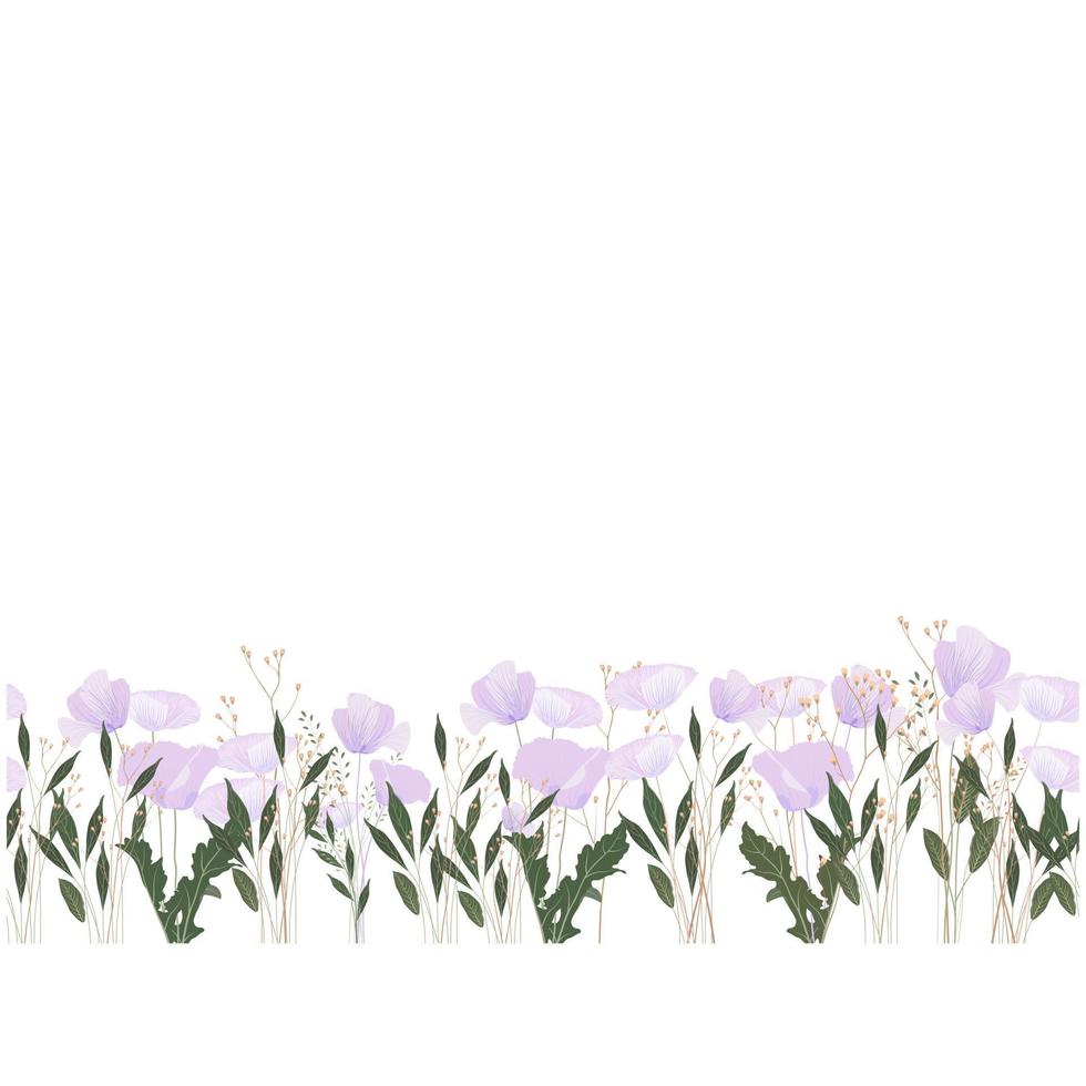 modèle sans couture horizontale de lavande. modèle de papier peint avec des fleurs violettes délicates. bourgeons de lilas. illustration vectorielle. route des fleurs. vecteur