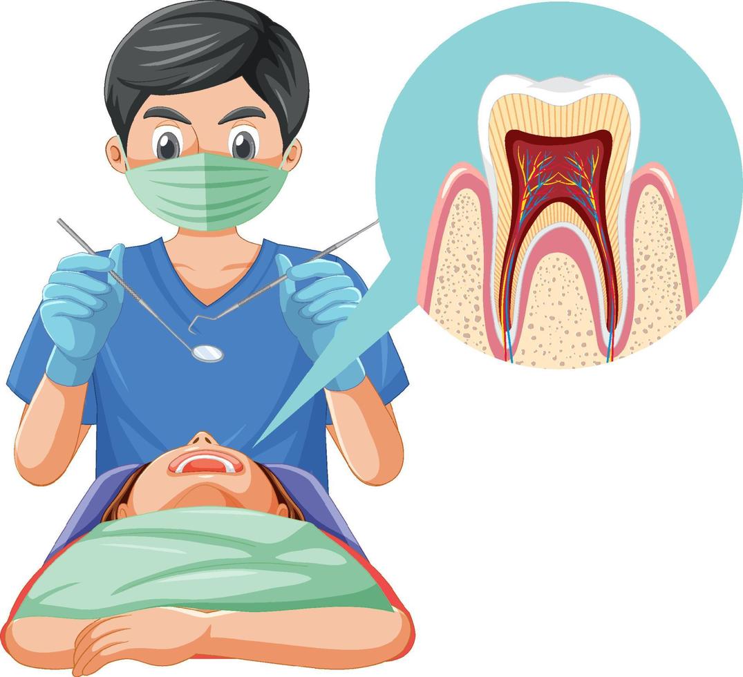 Dentiste homme examinant les dents du patient sur fond blanc vecteur