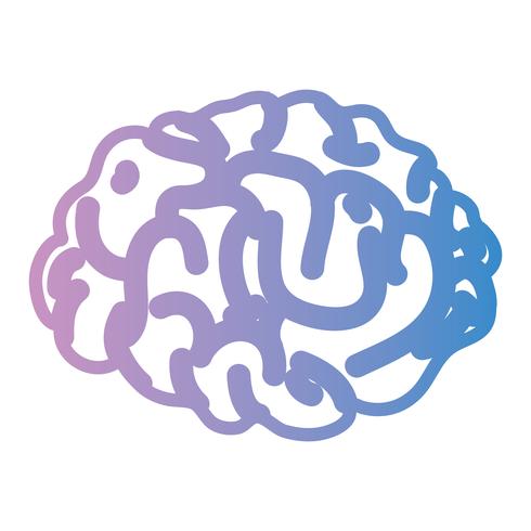 aligner l&#39;anatomie du cerveau humain sur la créativité et l&#39;intellect vecteur