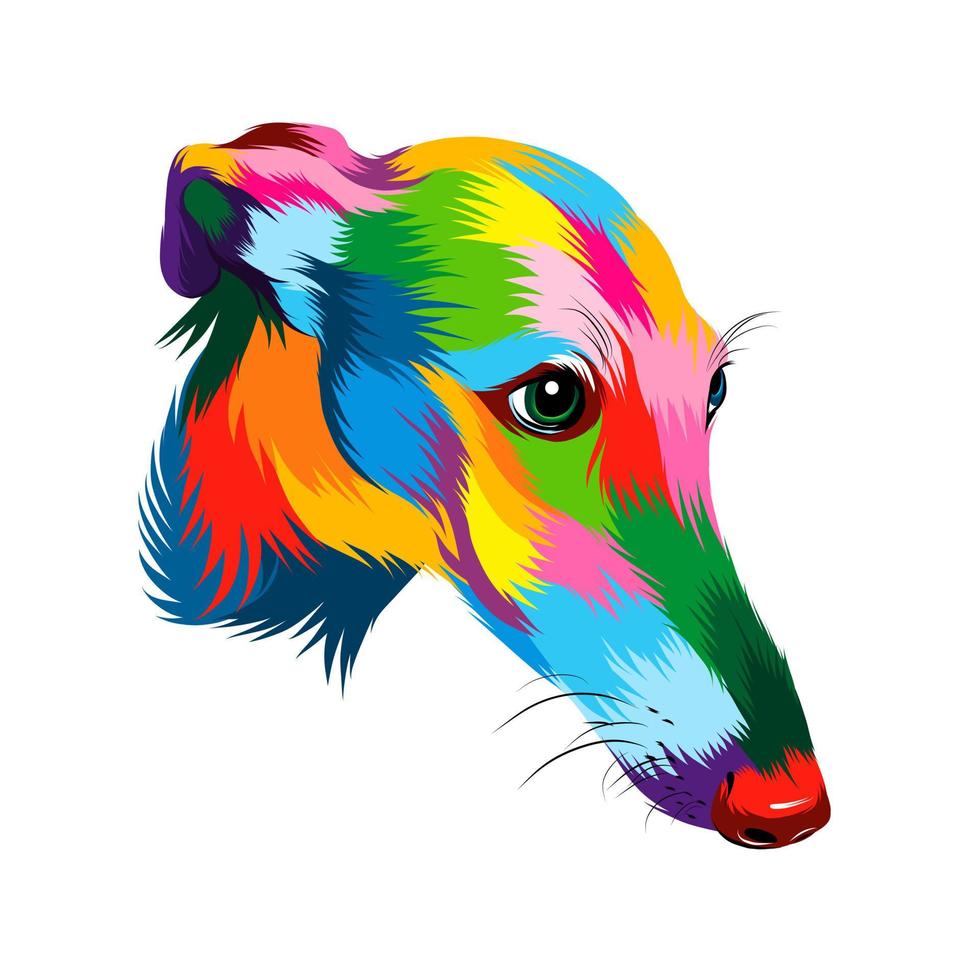 portrait abstrait de tête de chien lévrier à partir de peintures multicolores. portrait de museau de chiot, museau de chien. dessin coloré. illustration vectorielle de peintures vecteur