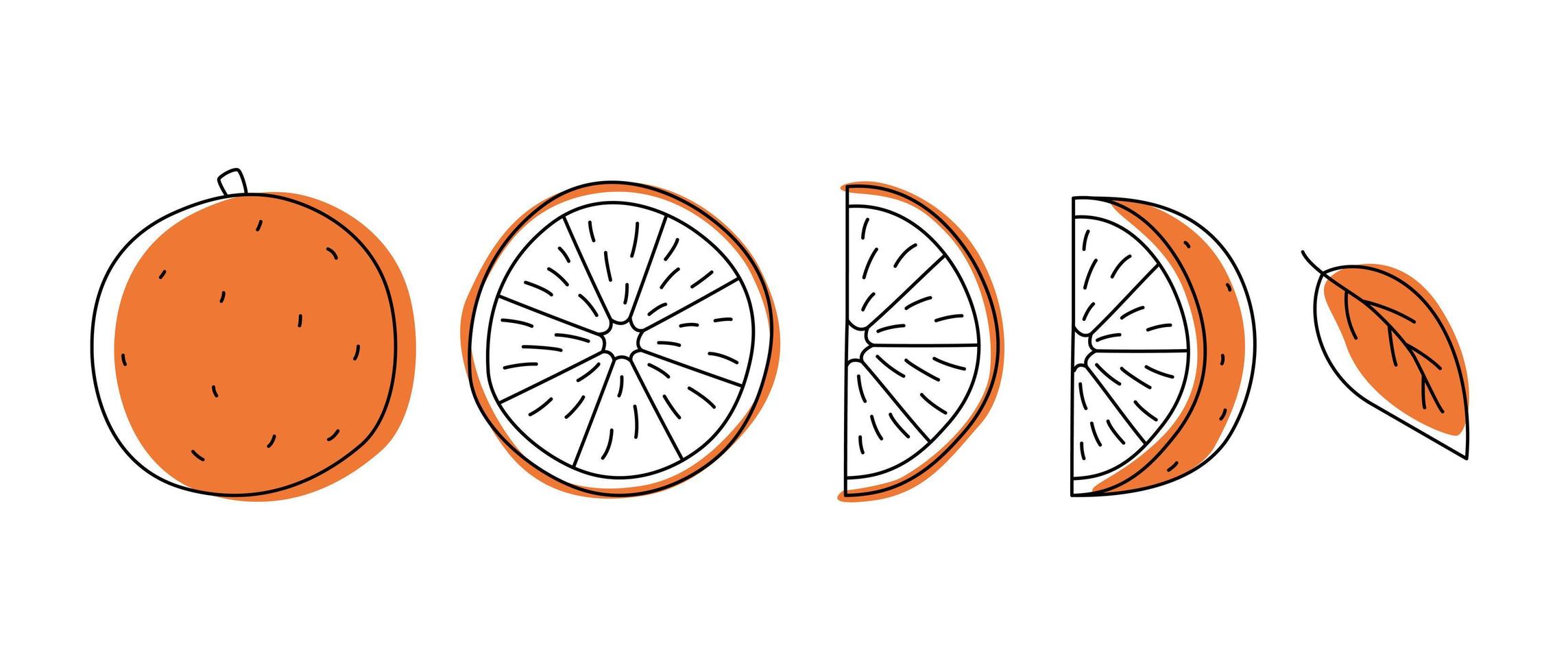 doodle contour orange avec des taches. entiers, morceaux et feuilles. vecteur