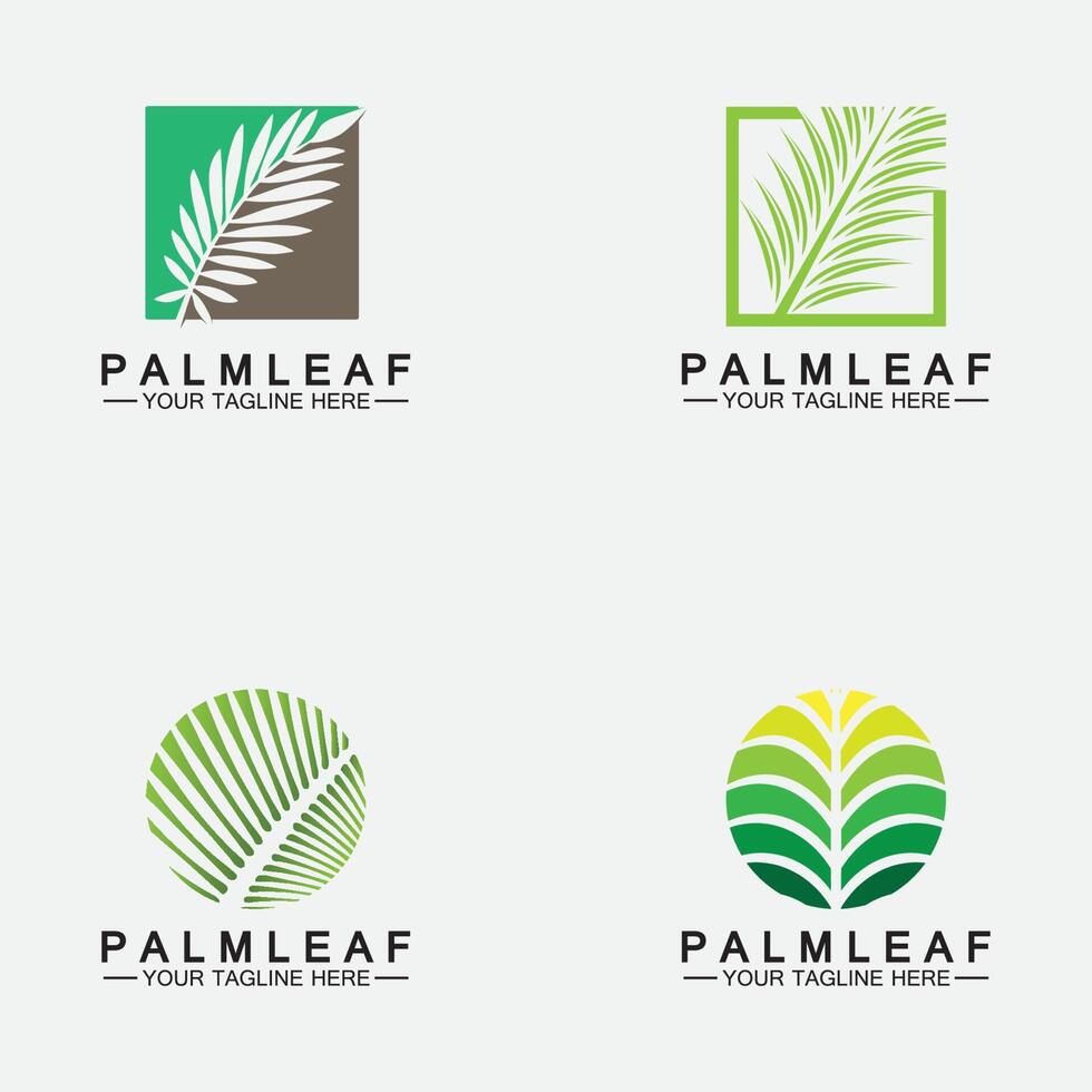 définir le modèle de conception de vecteur de logo de feuille de palmier tropical