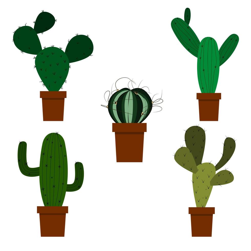 un ensemble de cactus, cactus verts dans un pot vecteur
