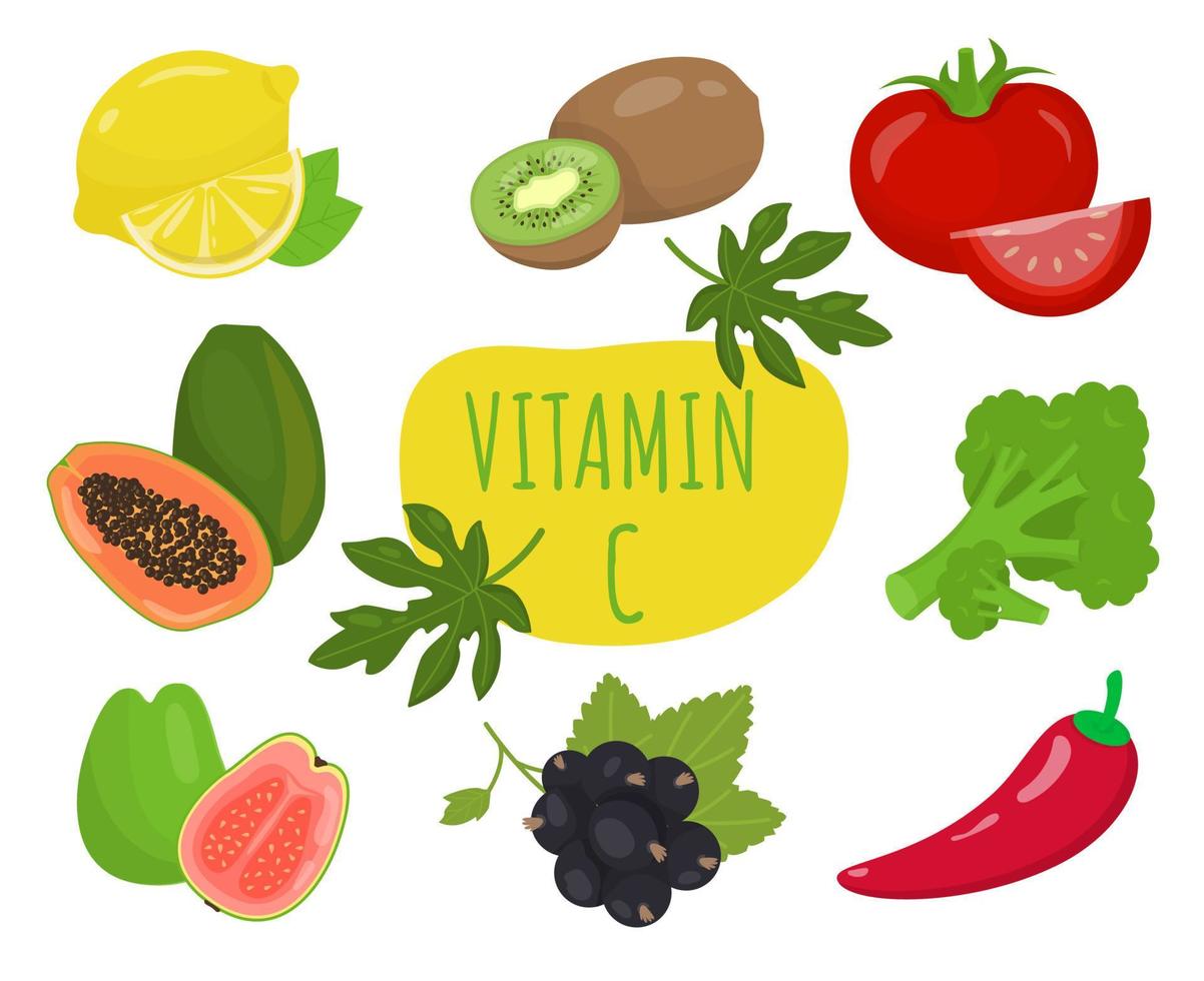 fruits et légumes riches en vitamine c. concept de nutrition et de saine alimentation vecteur