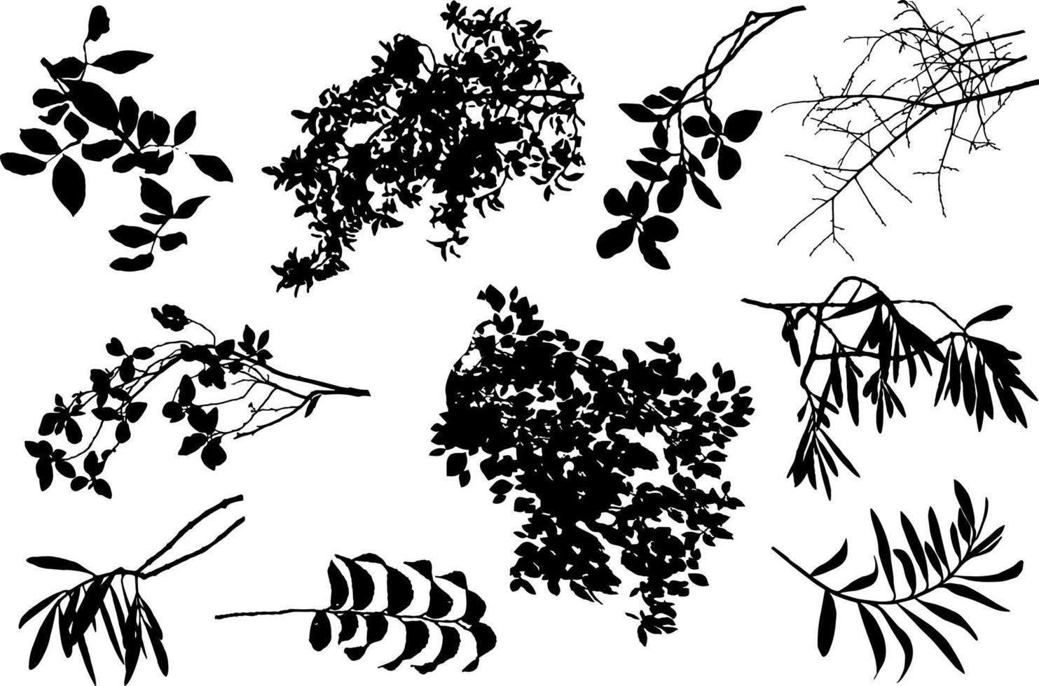 silhouette monochrome de feuilles, de branches et de fleurs. vecteur