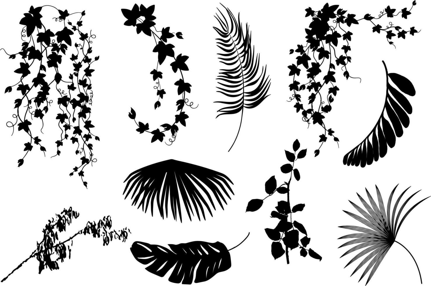 silhouette monochrome de feuilles, de branches et de fleurs. vecteur