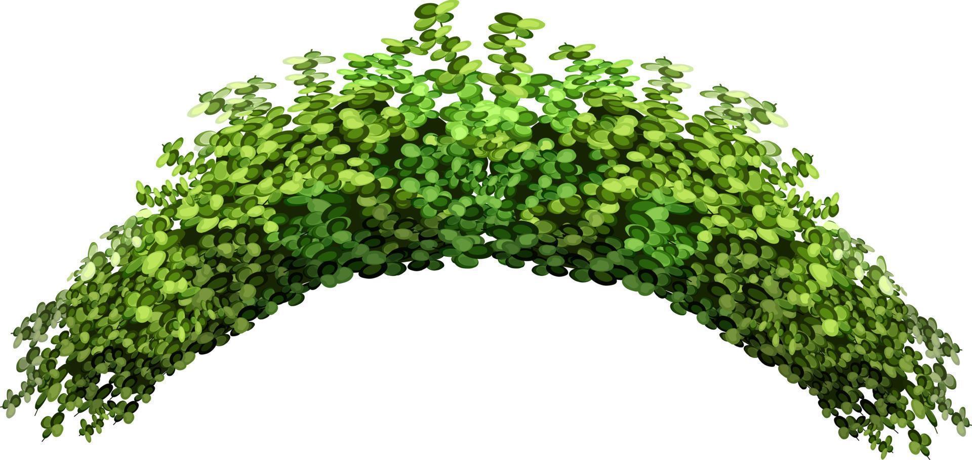 illustration vectorielle de buissons verts. vecteur
