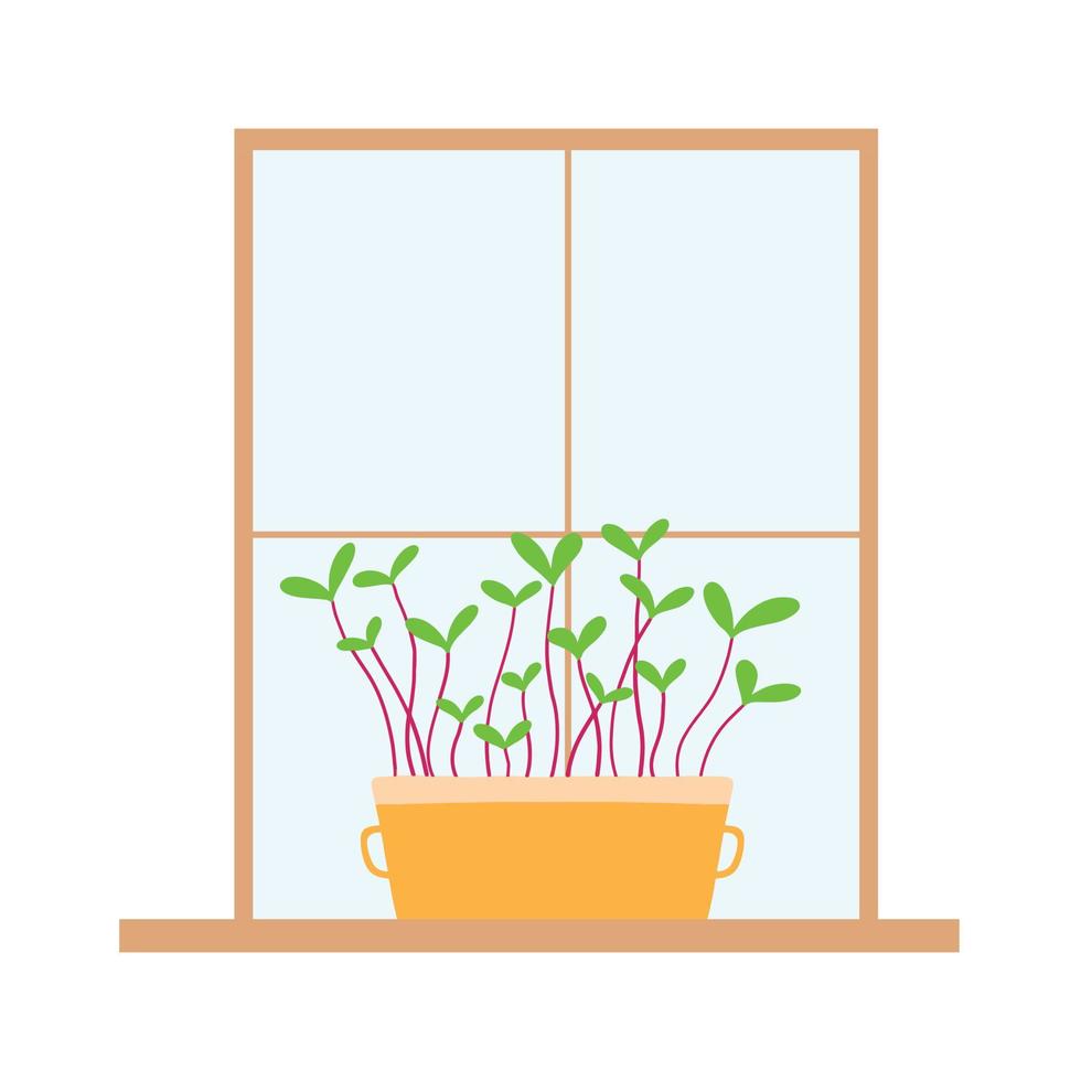 un pot de micropousses est près de la fenêtre. micro-verts sur le rebord de la fenêtre. illustration vectorielle de germes. vecteur