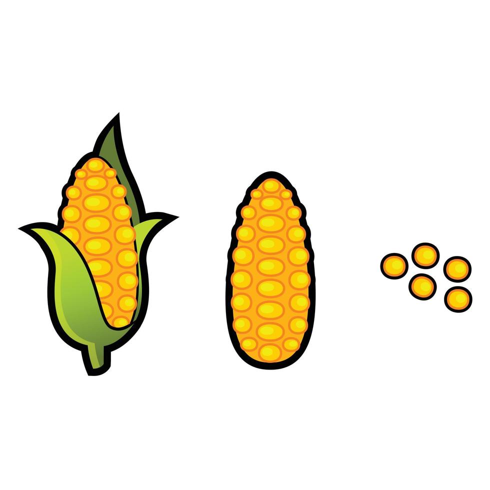 maïs isolé sur fond blanc, illustration vectorielle vecteur