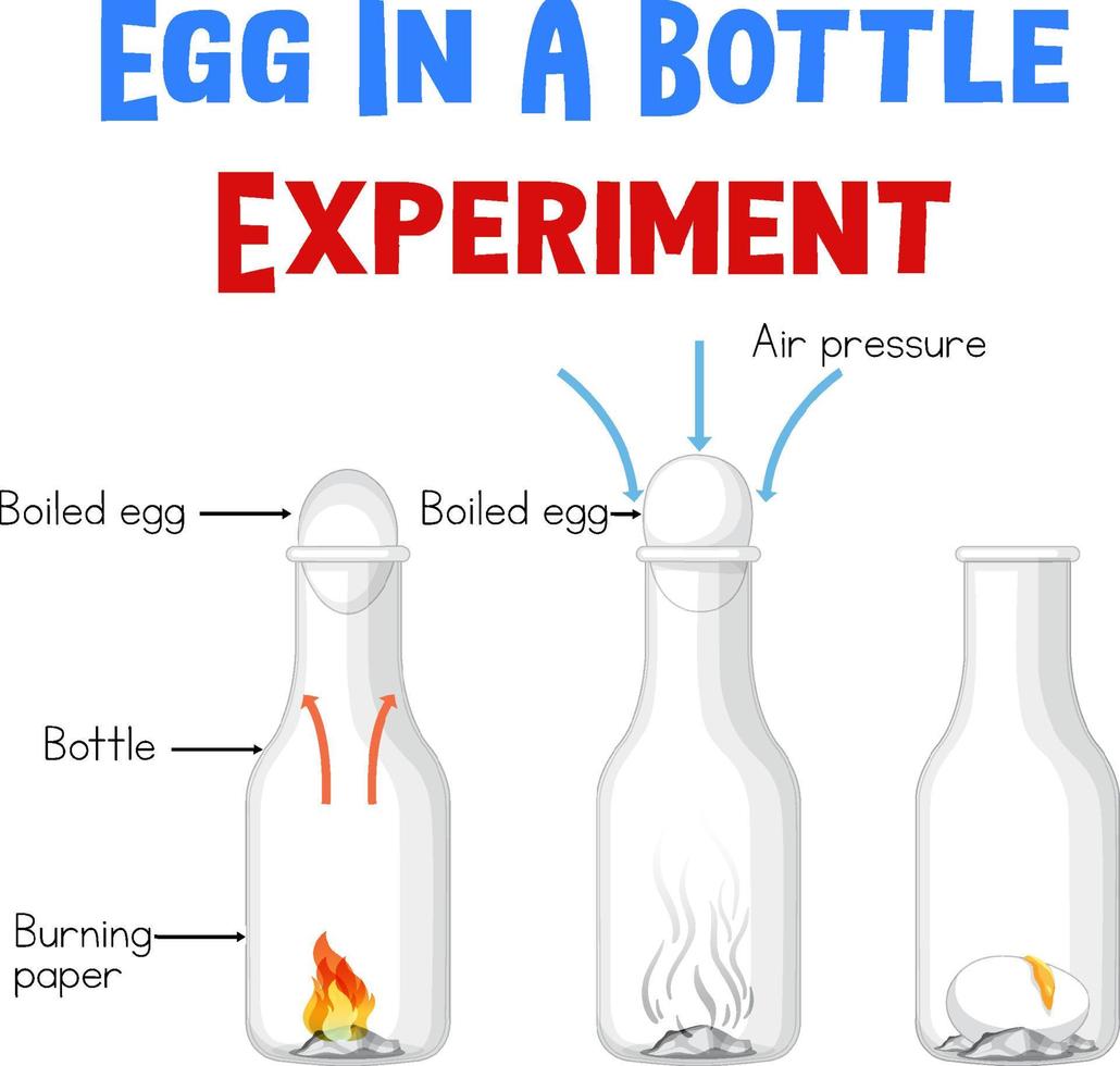 schéma montrant une expérience avec des œufs vecteur