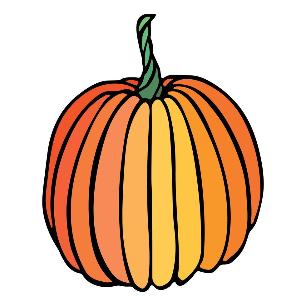 illustration vectorielle dessinée à la main de citrouille. objet isolé sur fond blanc. clipart de récolte de légumes. produit du marché agricole. éléments pour la conception d'automne, la décoration. vecteur