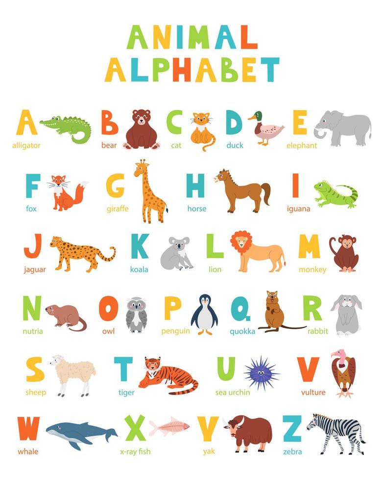 affiche colorée de l'alphabet du zoo avec un ensemble d'illustrations plates d'animaux mignons pour l'apprentissage. abc et alphabet anglais pour les enfants vecteur