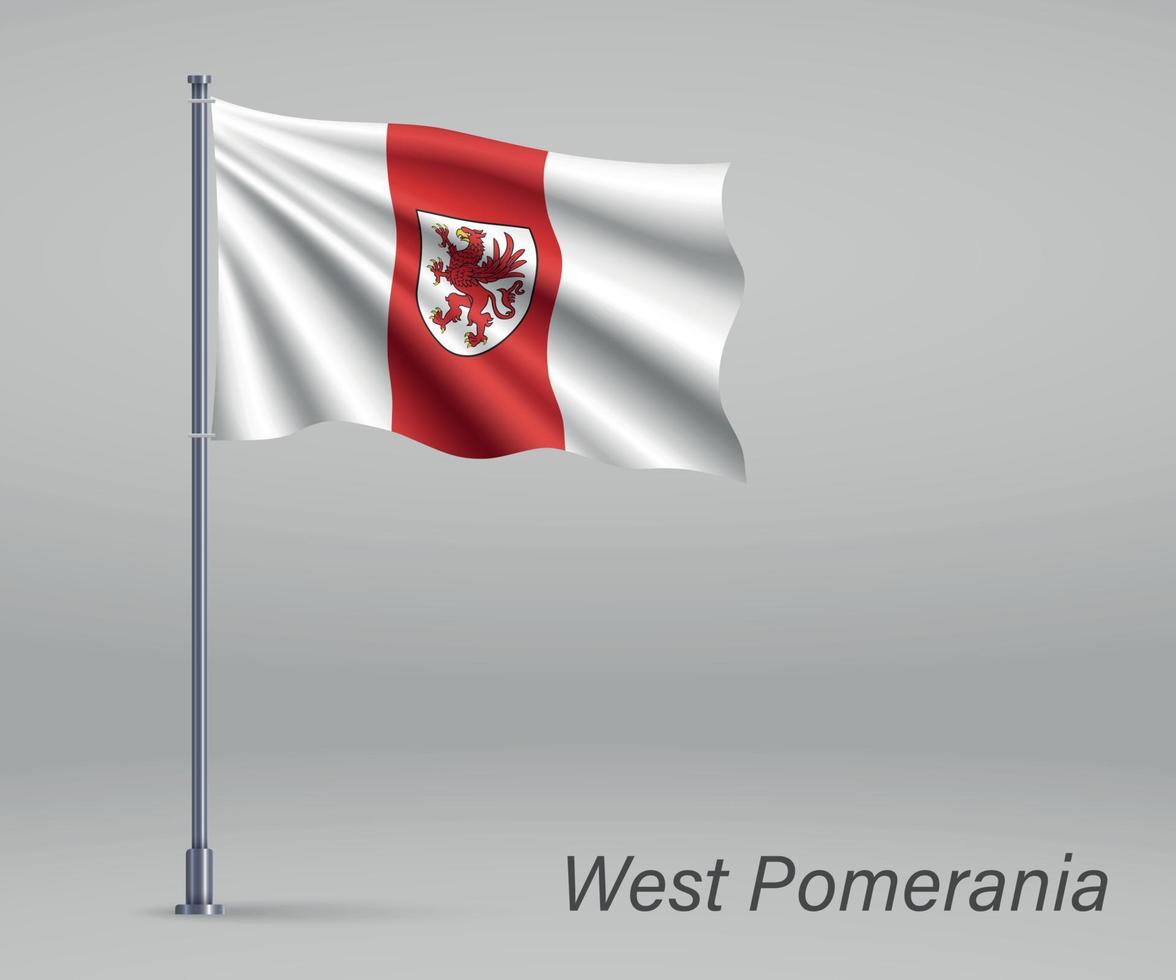 agitant le drapeau de la voïvodie de poméranie occidentale - province de pologne o vecteur