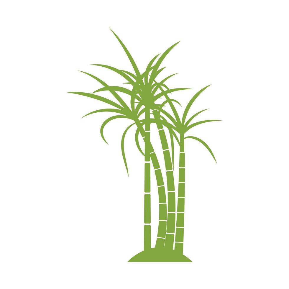 conception d'illustration vectorielle de logo de plante de canne à sucre vecteur