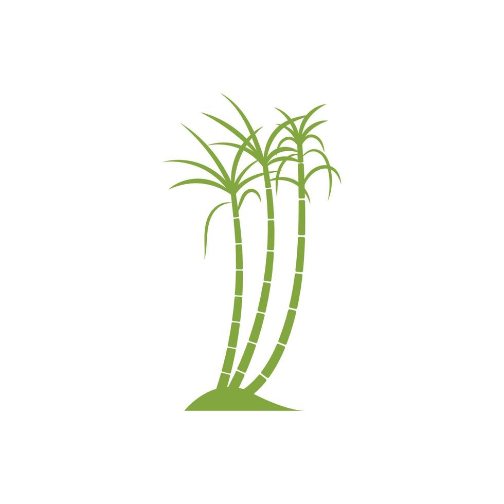 conception d'illustration vectorielle de logo de plante de canne à sucre vecteur