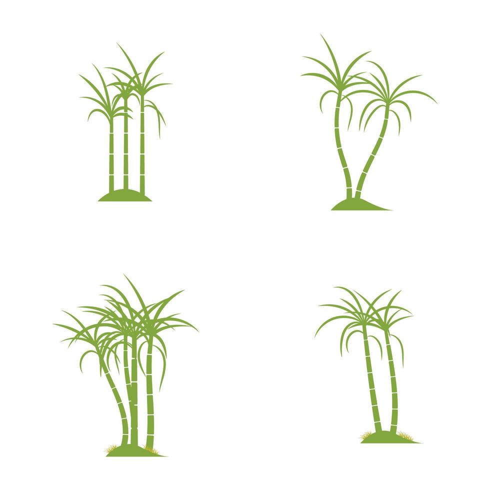 conception d'illustration vectorielle de logo de plante de canne à sucre vecteur