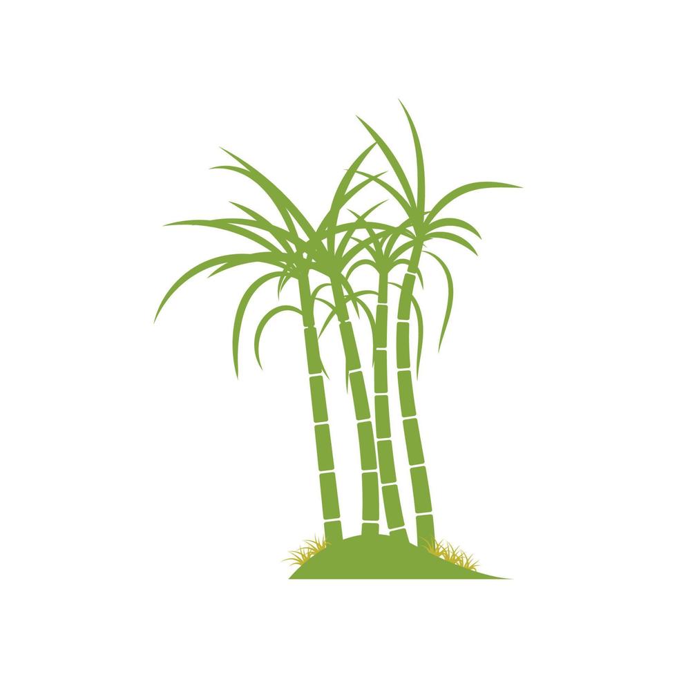 conception d'illustration vectorielle de logo de plante de canne à sucre vecteur