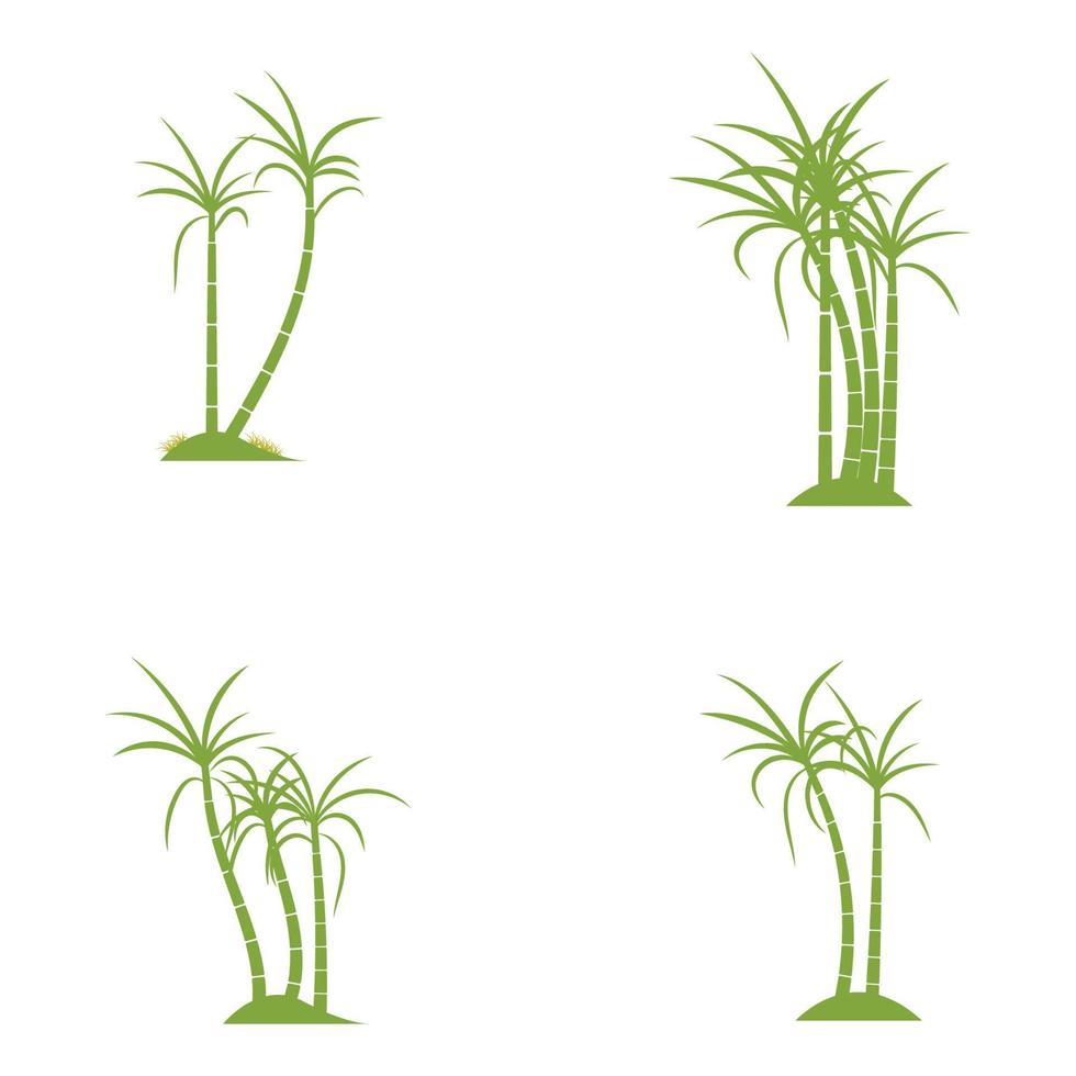 conception d'illustration vectorielle de logo de plante de canne à sucre vecteur