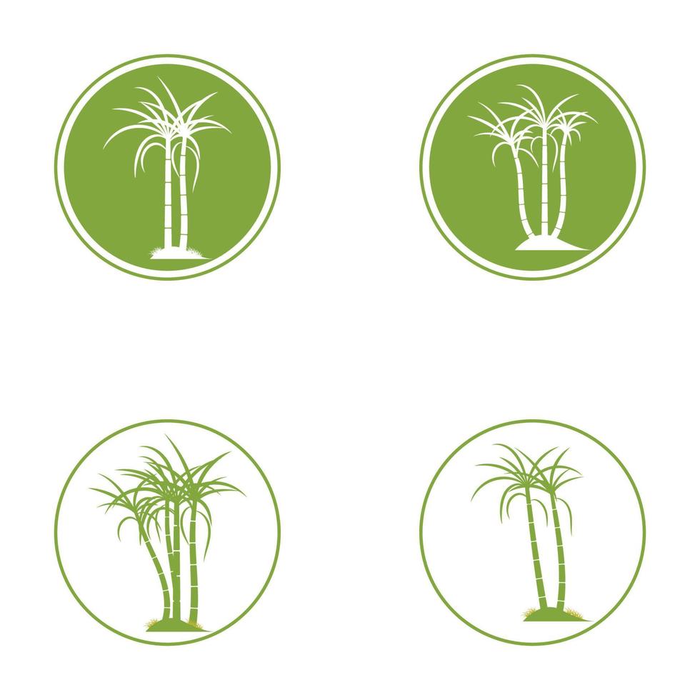 conception d'illustration vectorielle de logo de plante de canne à sucre vecteur